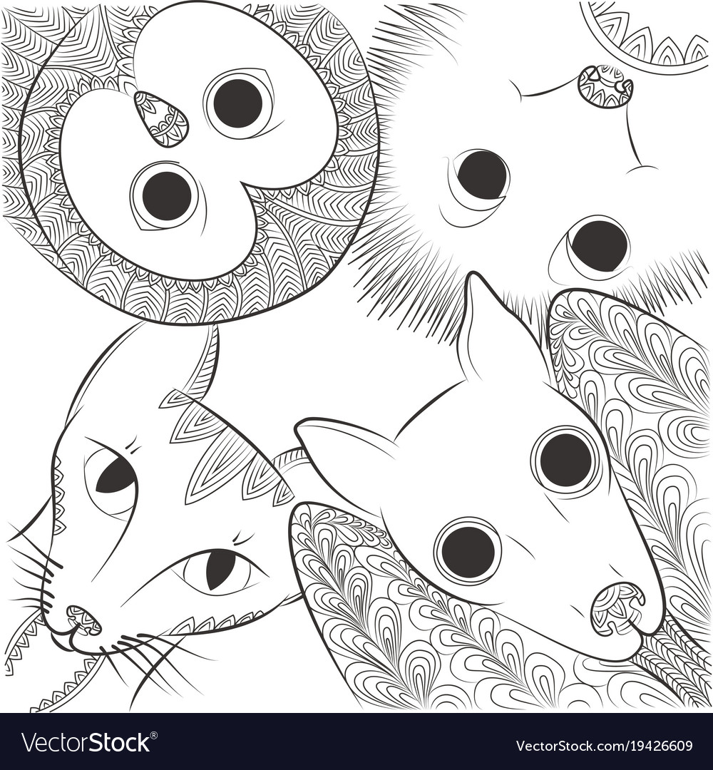 Doodle bat cat owl and hedgehog head night vector image