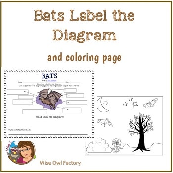 Free printable bat diagram work page â wise owl factory