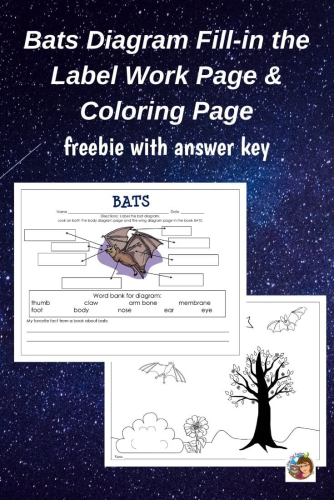 Free printable bat diagram work page â wise owl factory