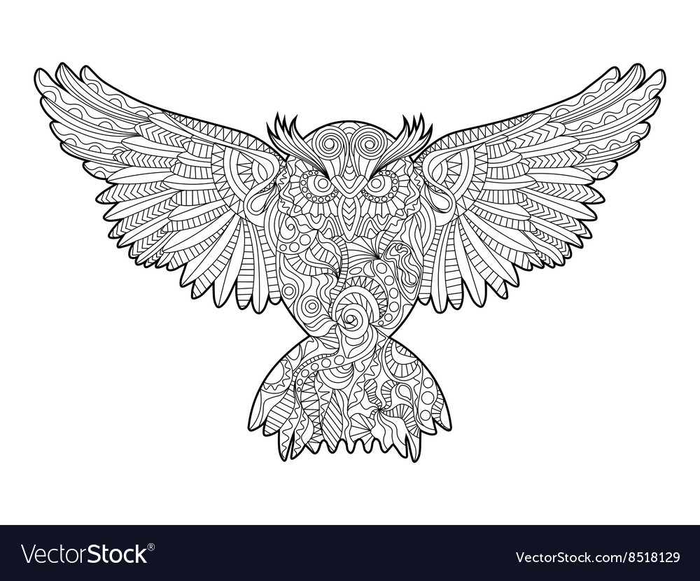 Owl coloring book for adults royalty free vector image
