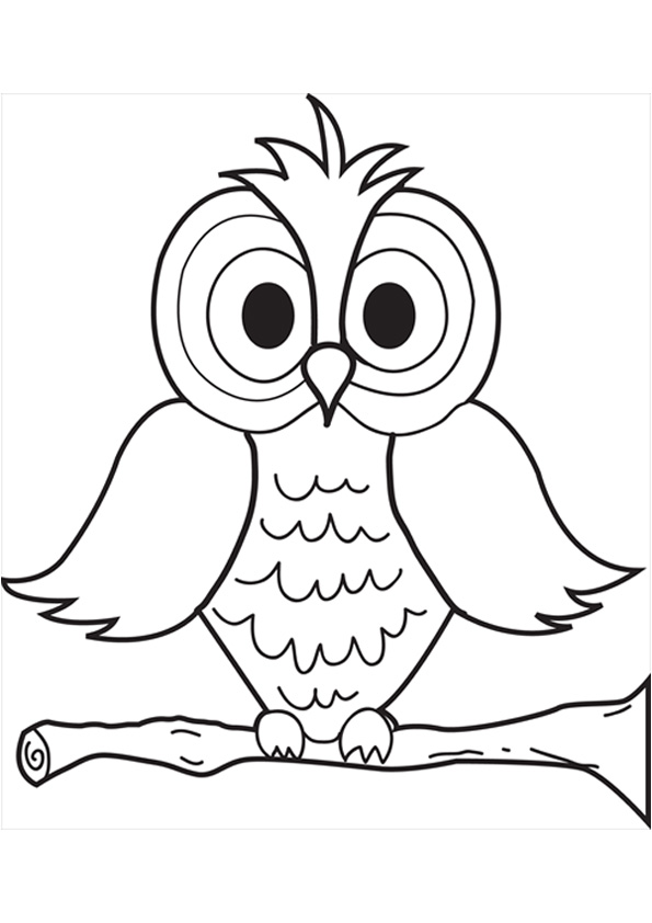 Coloring pages owl bird coloring pages for kids