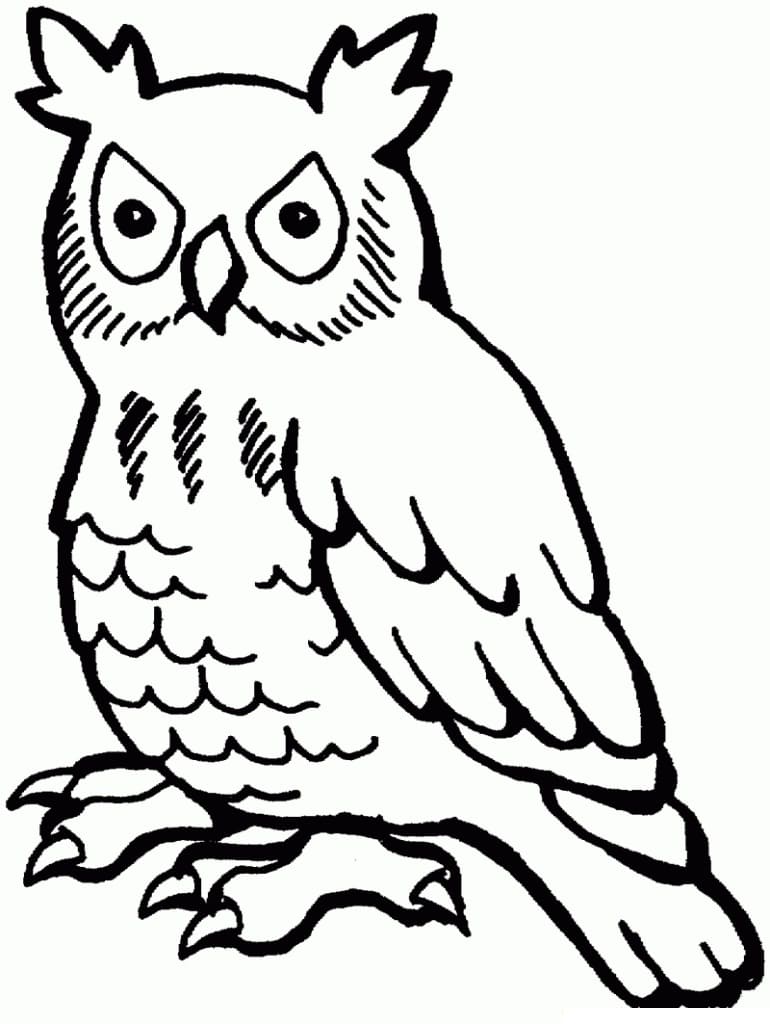 Owl for kids coloring page