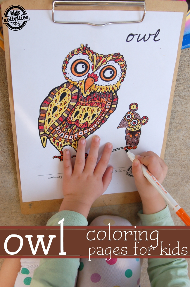 Owl coloring pages for kids