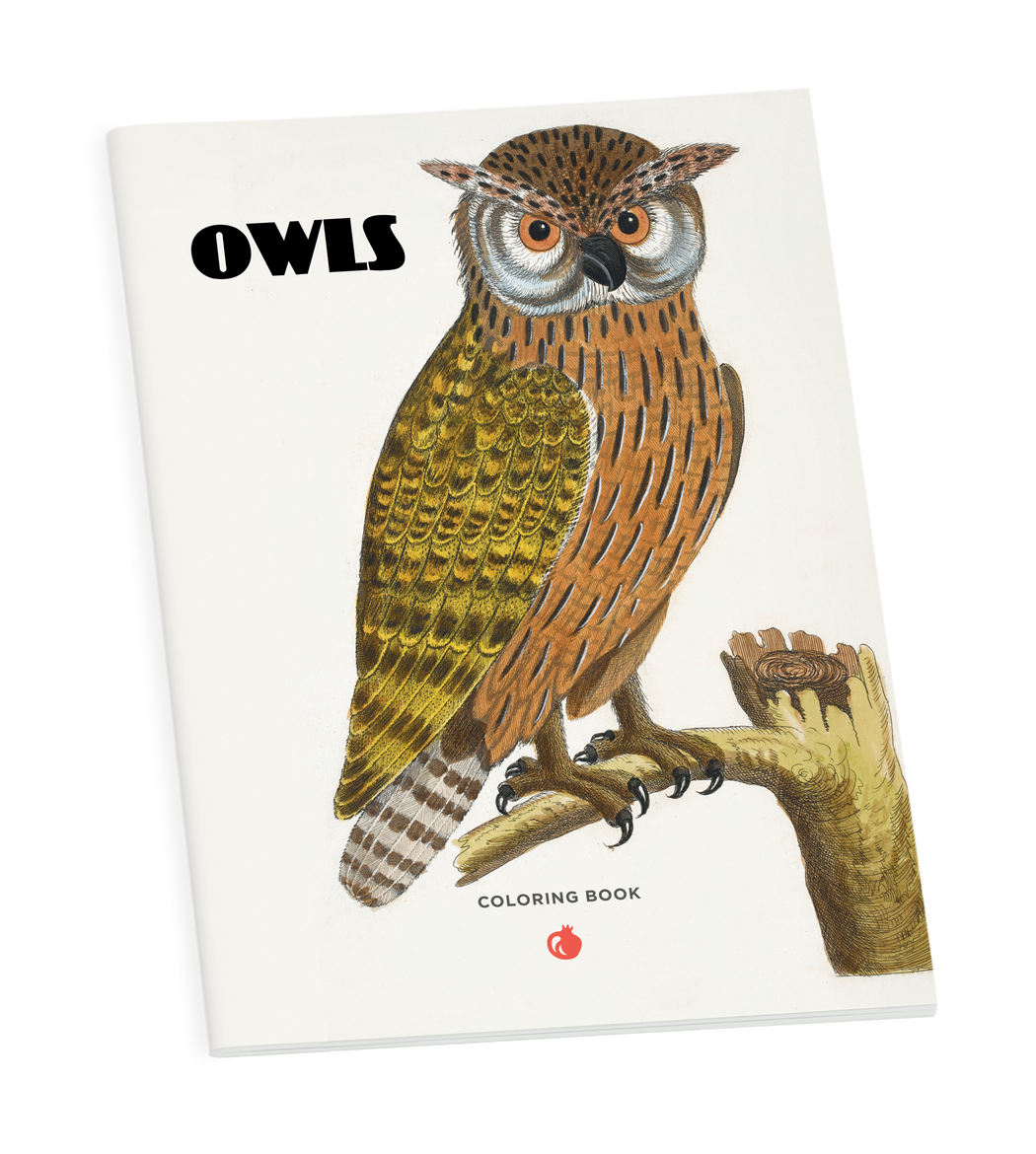Owls coloring book â