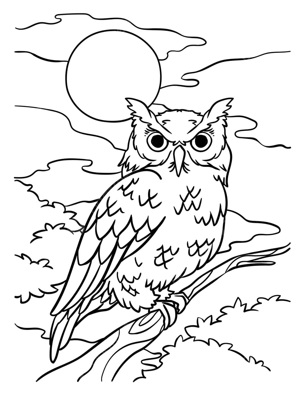 Owl coloring page for kids bird book coloring book vector book drawing owl drawing bird drawing png and vector with transparent background for free download