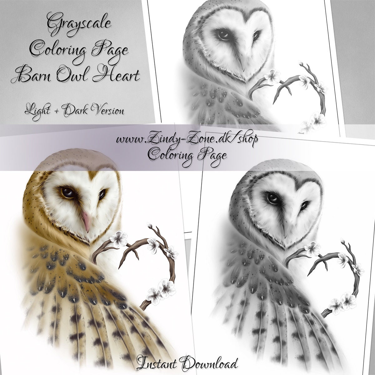 Grayscale coloring page barn owl wings heart cherry blossom fantasy zindy nielsen
