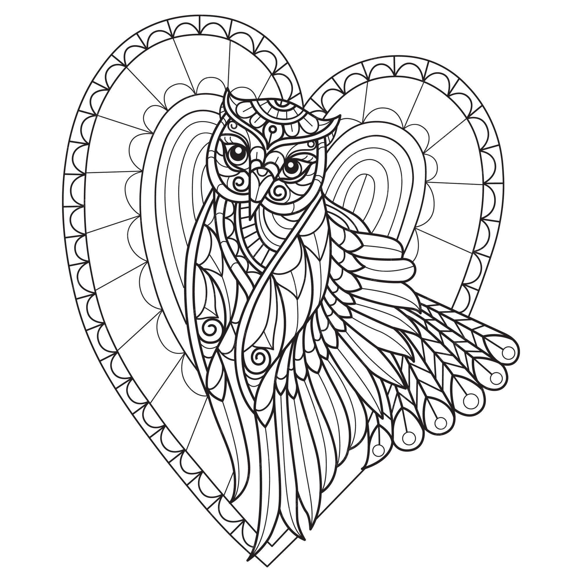 Premium vector owl and heart hand drawn for adult coloring book