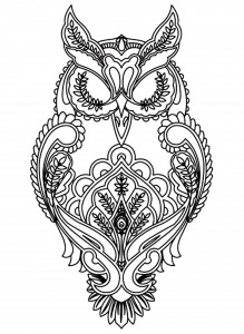 Pretty owl with a heart