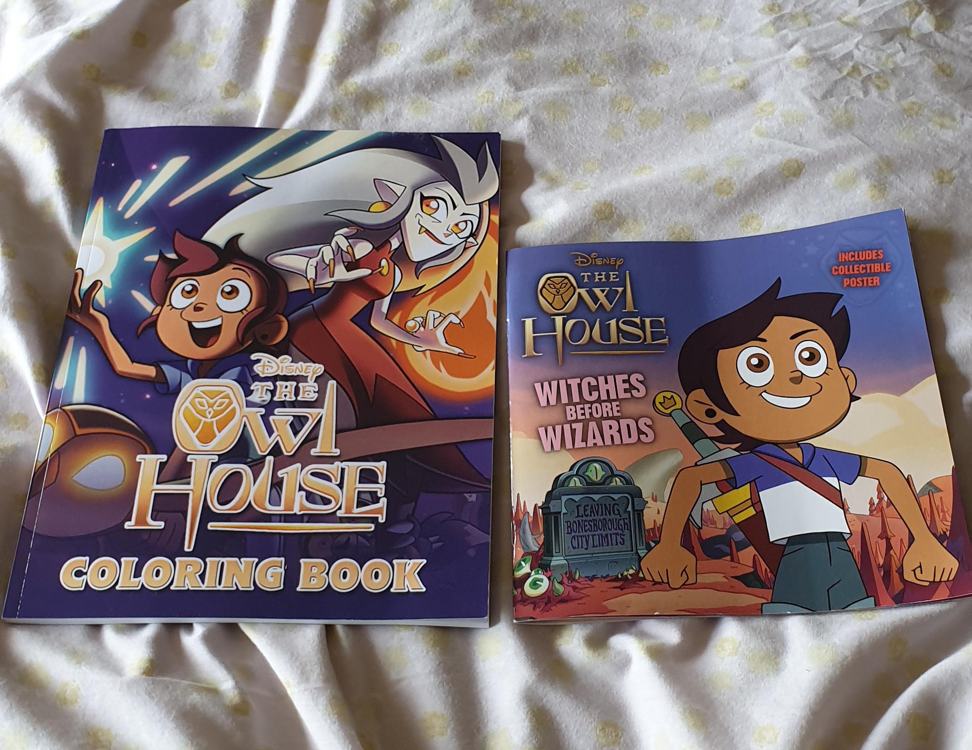 Wasnt really sure about the flair but who knew there was a colouring book of the owl house of course i didnt rtheowlhouse