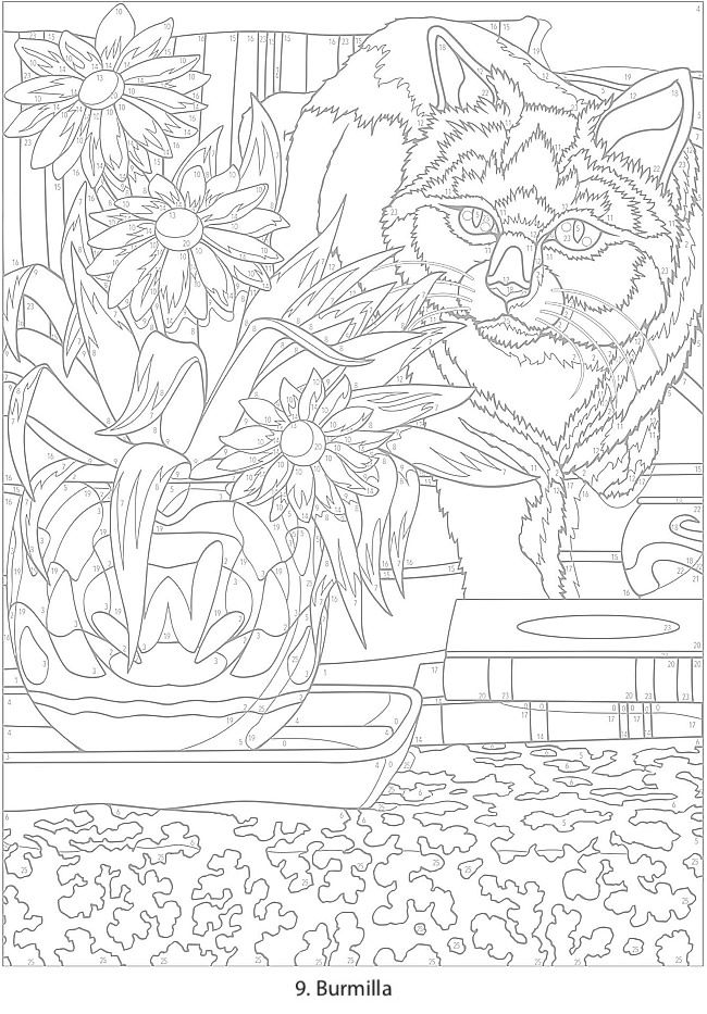 Creative haven cats color by number coloring book by george toufexis wele to dover publicaâ detailed coloring pages color by number printable coloring books