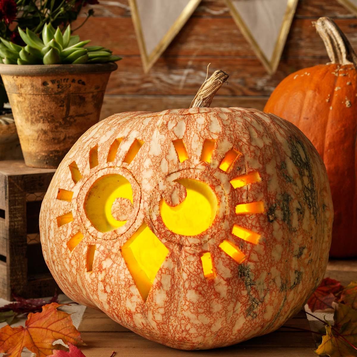 Creative pumpkin design ideas for halloween family handyman