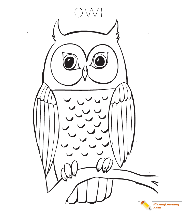 Owl coloring page free owl coloring page