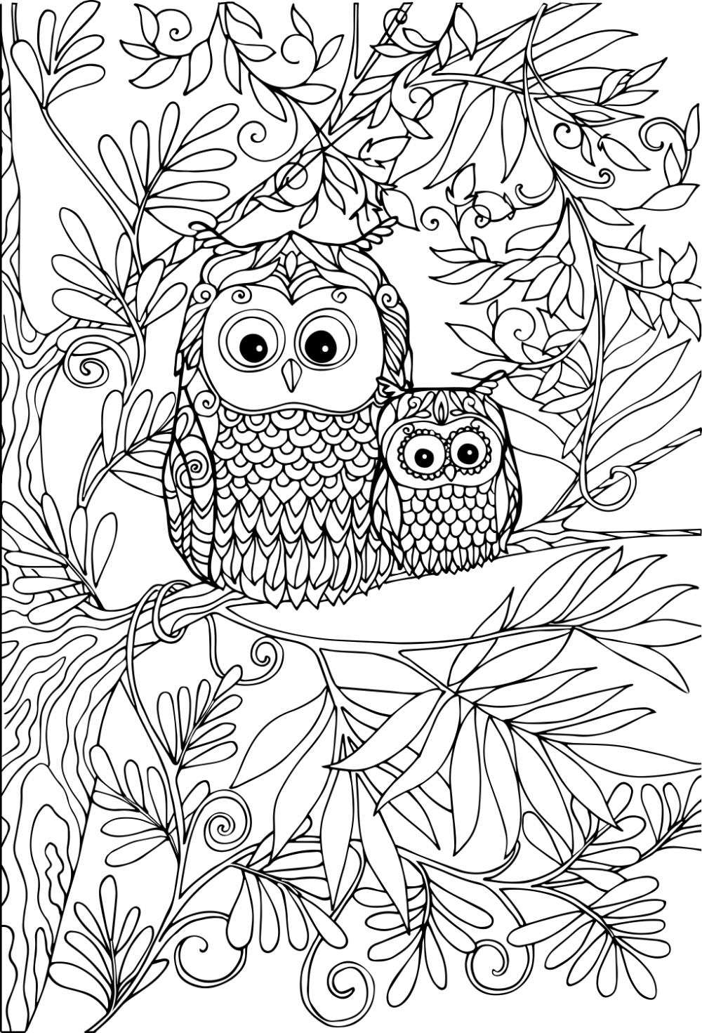 Free owl coloring pages for download printable pdf