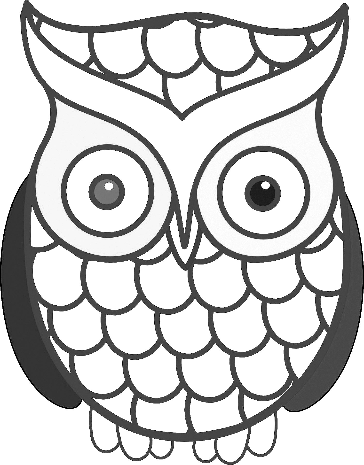 Large print owls pdf coloring book for beginners seniors or visually â rachel mintz coloring books