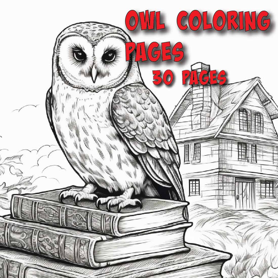 Owl coloring pages great for all age groups and skill levels pages of unique owls
