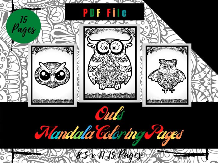 Owls mandala coloring pages for kids coloring sheets pdf printable pages teaching resources