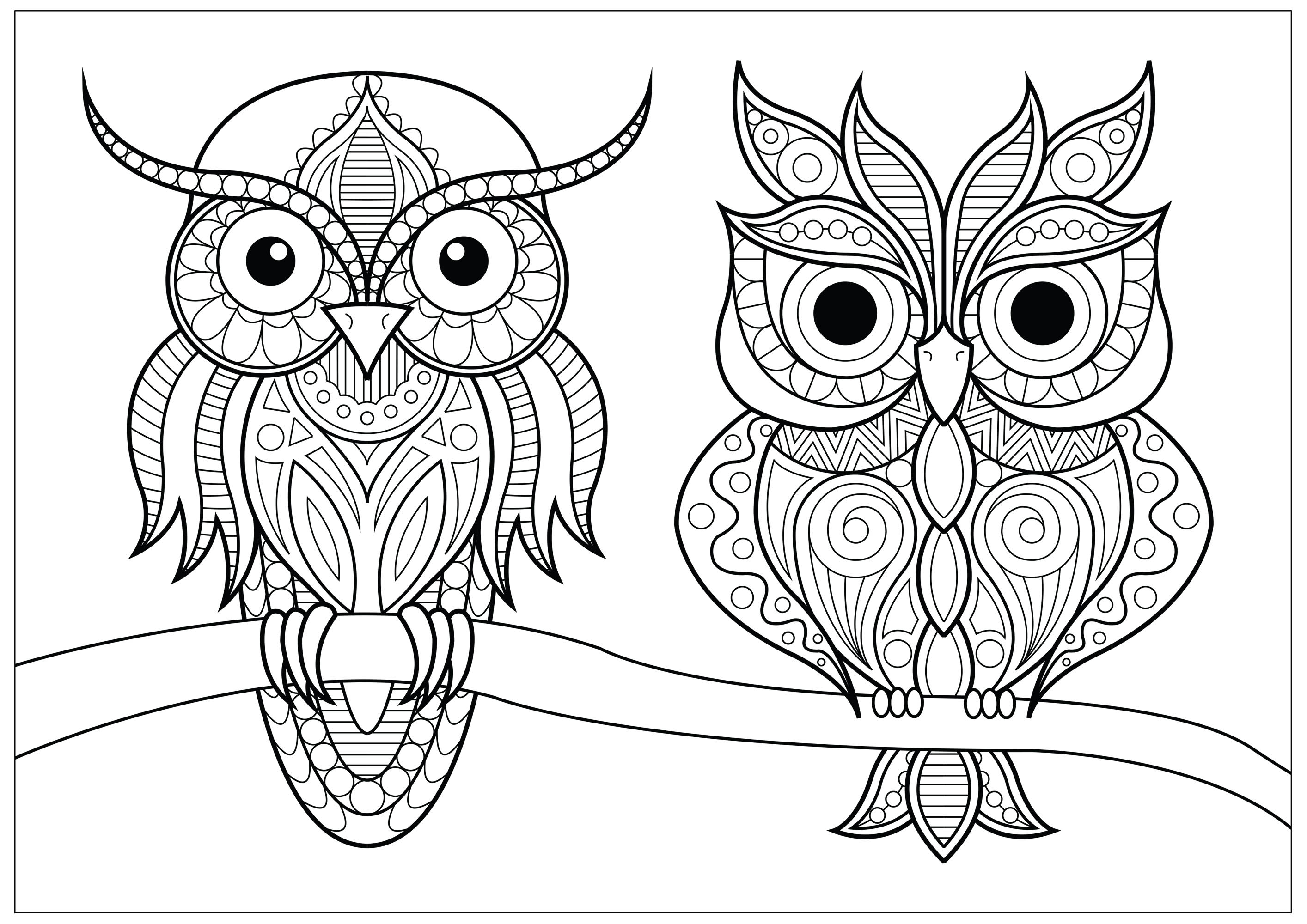 Two owls with simple patterns on branch