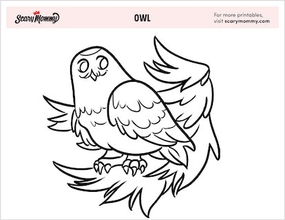 Owl coloring pages kids will think are quite a hoot
