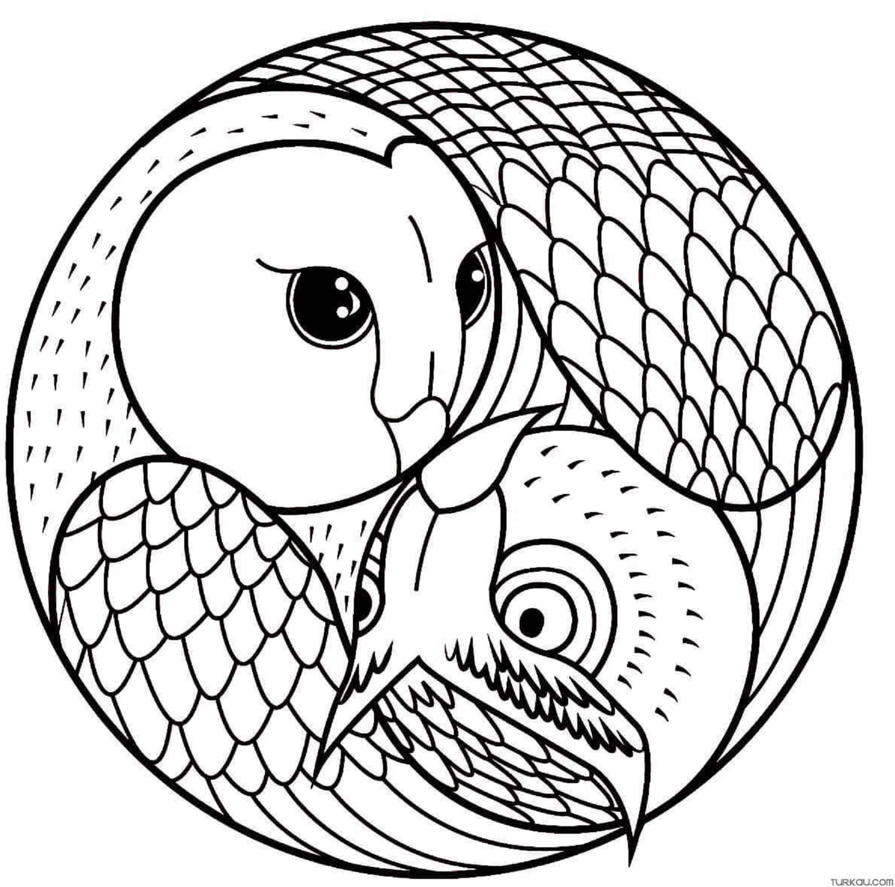 Owl mandala coloring page