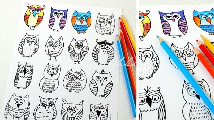 Owl coloring page