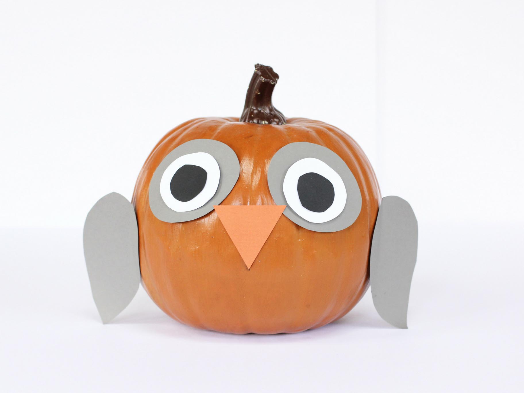 Diy animal pumpkin owl