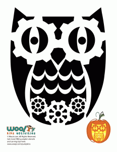 Owl pumpkin carving stencils woo jr kids activities childrens publishing