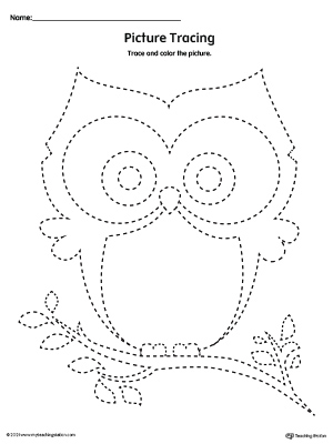 Free owl prewriting line tracing worksheet