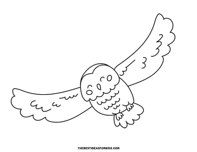 Owl coloring pages free printables