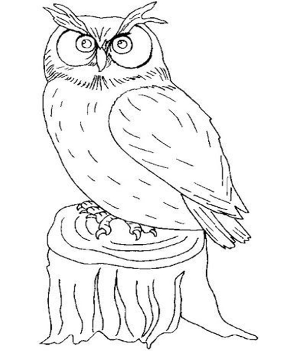 Free easy to print owl coloring pages