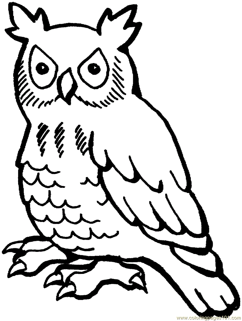 Free printable owl coloring pages for kids