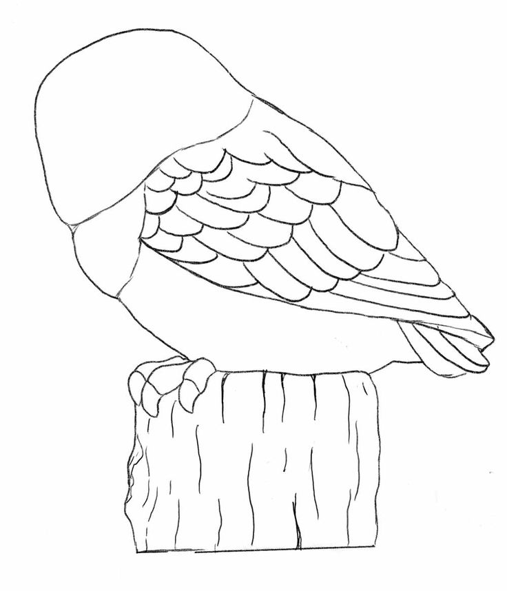 Owl carving pattern b dremel wood carving carving wood carving patterns
