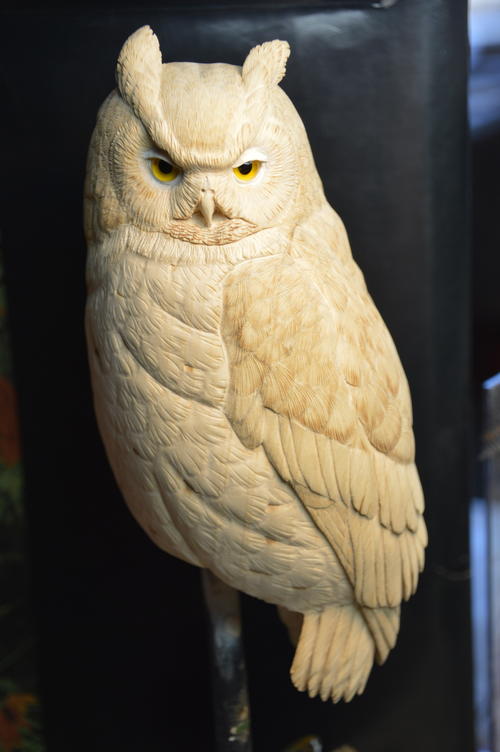 The great horned owl in miniature
