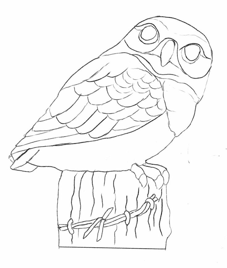 Bird carving patterns wood carving patterns pyrography patterns