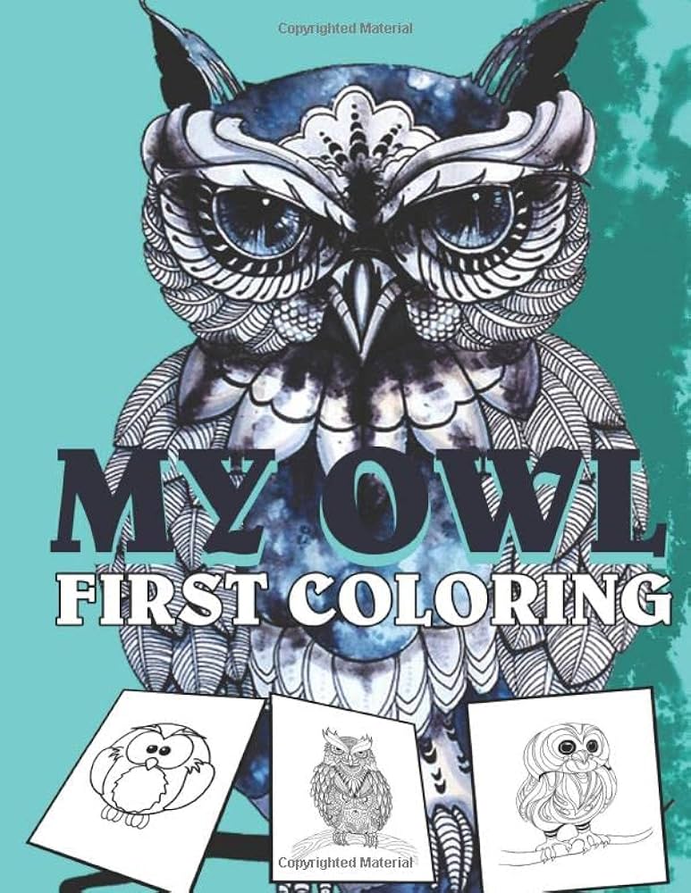 My owl first coloring owl coloring poster coloring worksheets owl login purdue owl arifi arifi books
