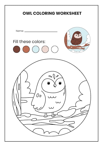 Premium vector owl colorful circular arts coloring animals activity worksheet