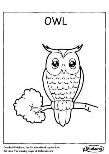 Download free owl coloring page and educational activity worksheets for kids