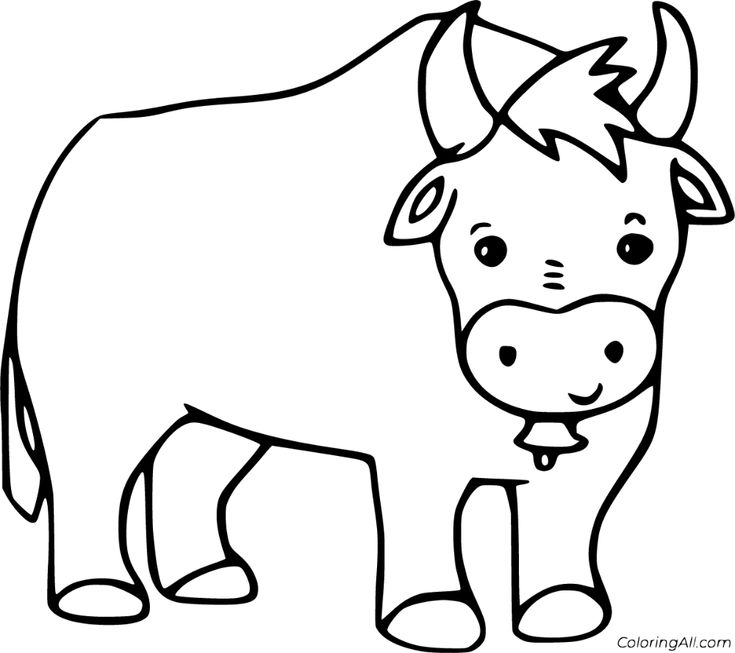 Colorful and fun ox coloring pages
