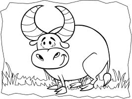 Ox