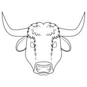 Ox coloring pages free coloring pages
