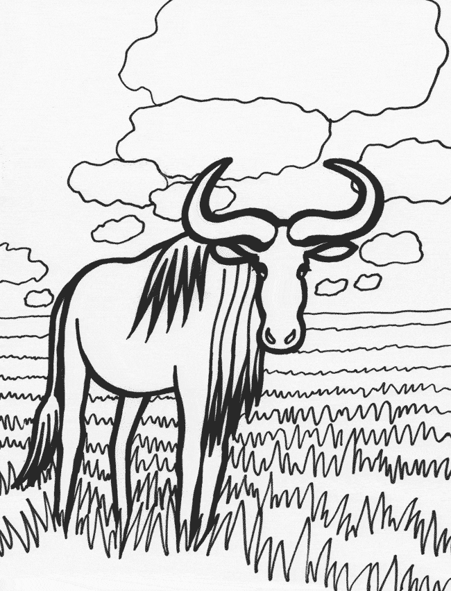 Ox coloring page