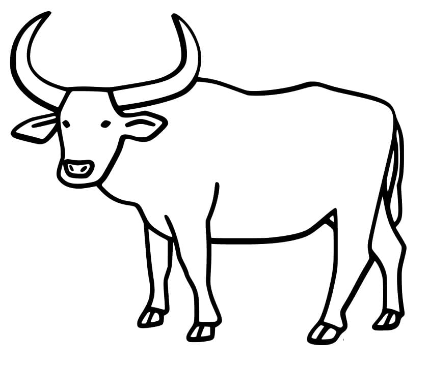 Printable ox fãrbung seite
