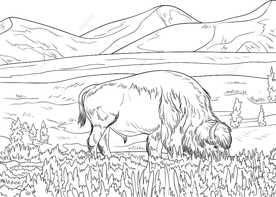Summer landscape coloring page for adults featuring an ox vector cute graphic page png and vector with transparent background for free download