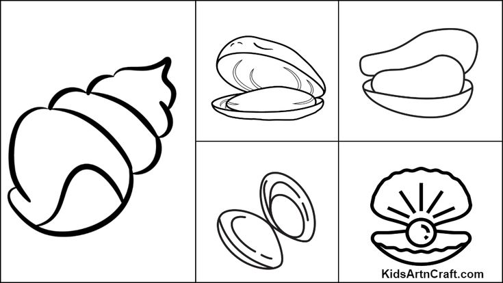Oyster colorg pages for kids â free prtables prtables free kids colorg pages colorg pages for kids