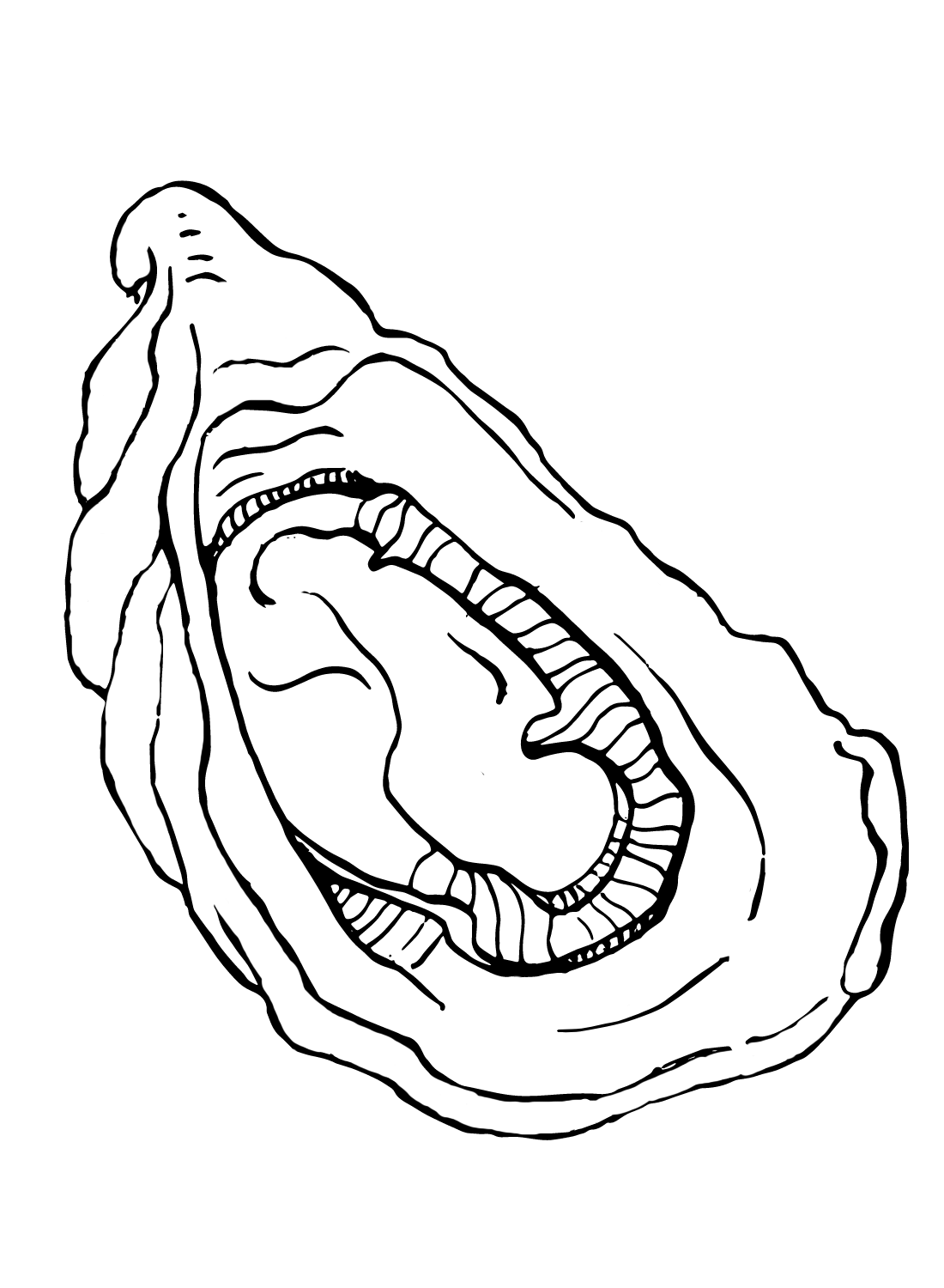Oyster coloring pages printable for free download