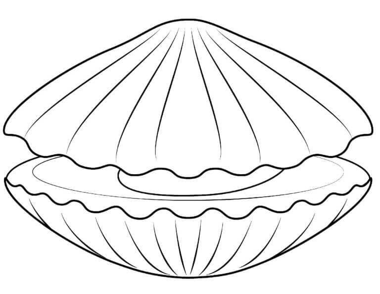 Mysterious seashell coloring page