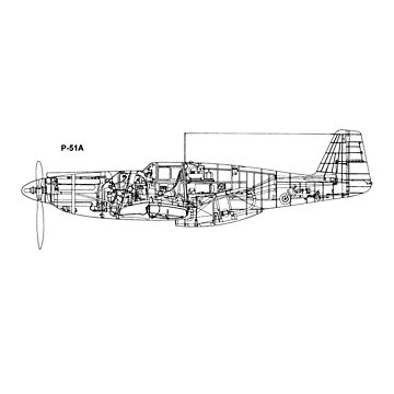 P mustang fighter plane