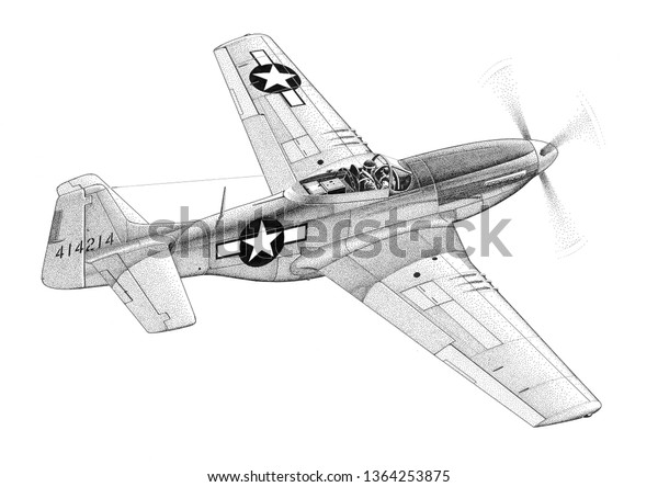 Pd mustang drawing stock illustration