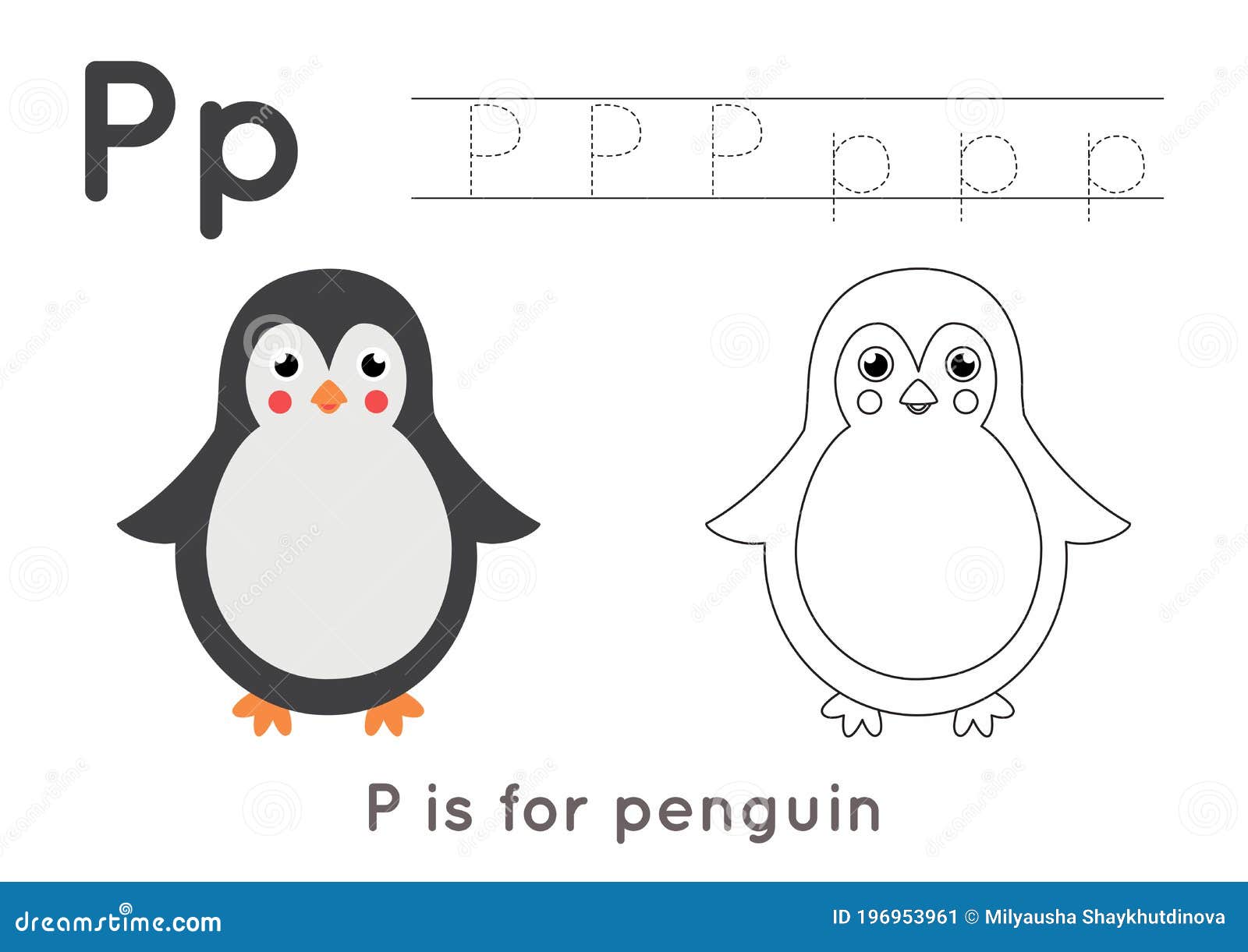 Coloring and tracing page with letter p and cute cartoon penguin stock vector