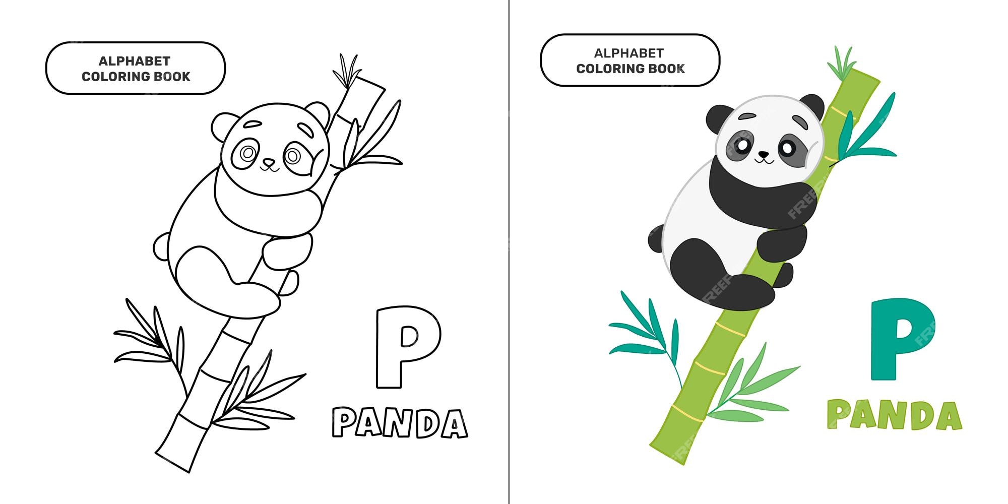 Premium vector alphabet panda coloring book