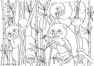 P is for panda louring page
